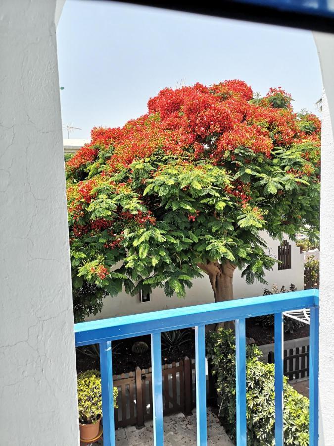 Maspalomas Casa La Loba Kültér fotó